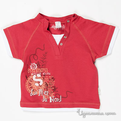 Футболка Бемби, цвет цвет винный