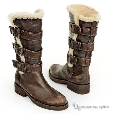 Сапоги Kurt Geiger, цвет цвет коричневый