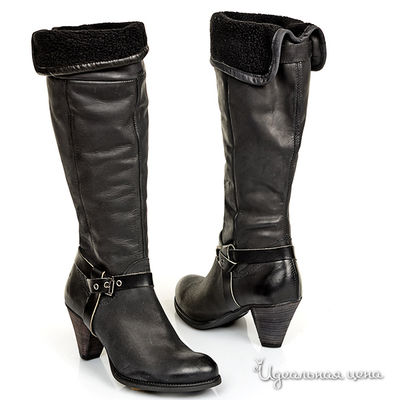 Сапоги Kurt Geiger, цвет цвет черный