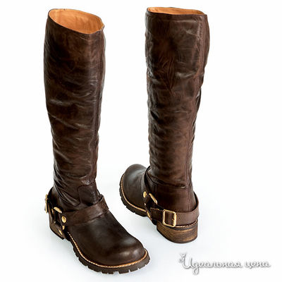 Сапоги Kurt Geiger, цвет цвет шоколадный