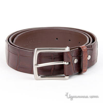 Ремень BLQ, цвет цвет темно-коричневый