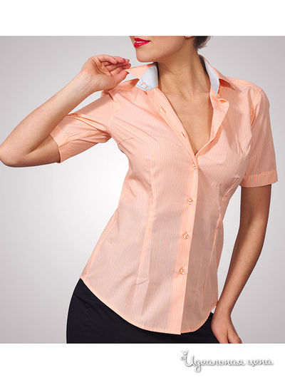 Рубашка Alonzo Corrado, цвет цвет оранжевый