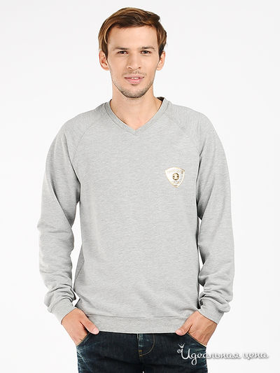 Пуловер Roberto Cavalli, цвет цвет серый