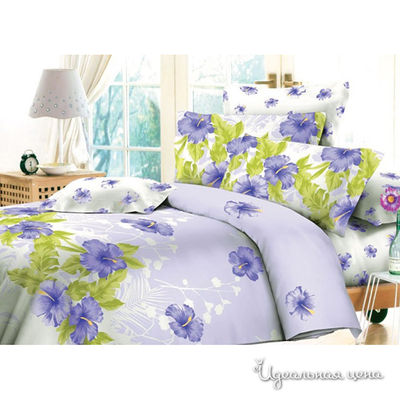 Комплект Seta