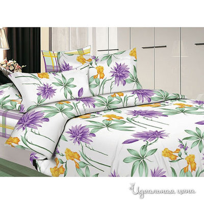 Комплект Seta