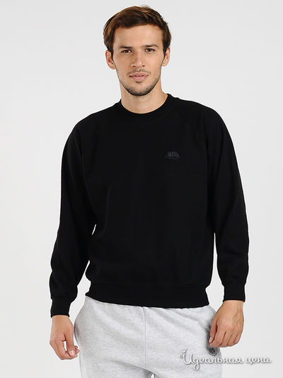 Толстовка Fruit of the Loom, цвет цвет черный