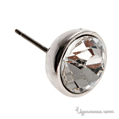 Гвоздики Crocus