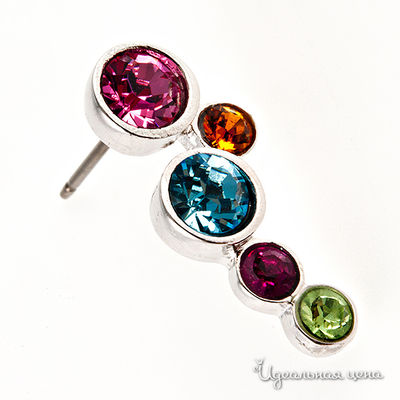 Гвоздики Crocus, цвет цвет мультиколор