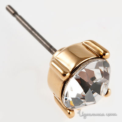 Гвоздики Crocus