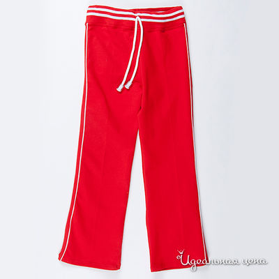 Брюки Star Rise, цвет цвет красный