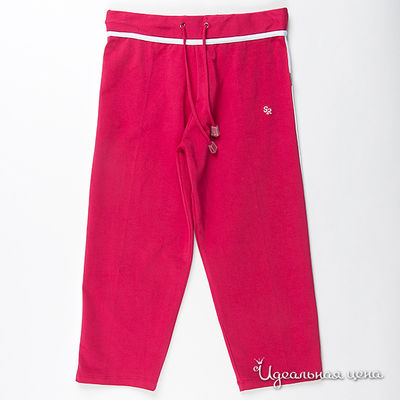 Брюки Star Rise, цвет цвет малиновый