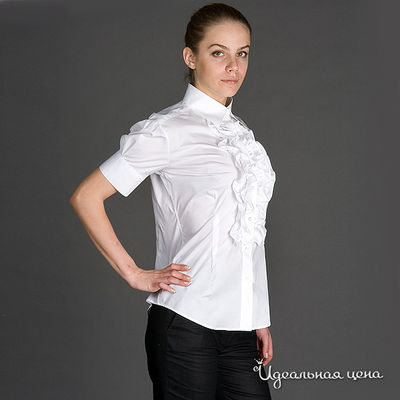 Рубашка Alonzo Corrado