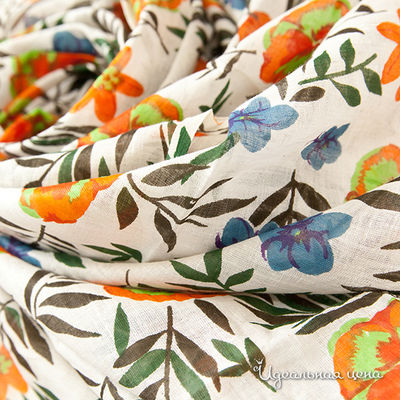 Парео Арлони