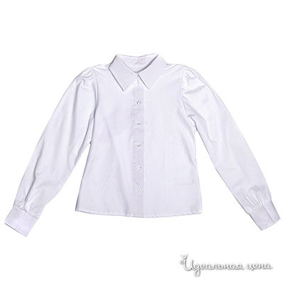 Блуза Ginger, цвет цвет белый / принт полоска