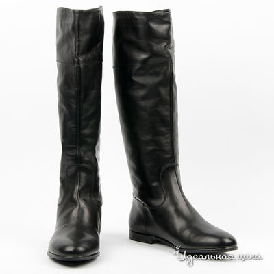 Сапоги Gianmarco Benatti, цвет цвет черный