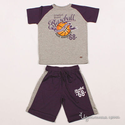 Комплект Solog, цвет цвет серый