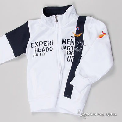 Толстовка Tandem, цвет цвет белый / темно-синий