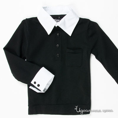 Кофта Timole, цвет цвет черный