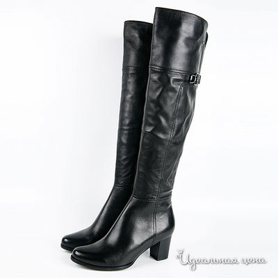 Сапоги Cardinali, цвет цвет черный