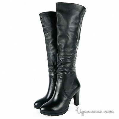 Сапоги Cardinali, цвет цвет черный