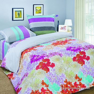 Комплект Domus