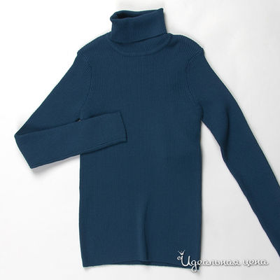 Водолазка Cleverly, цвет цвет синий