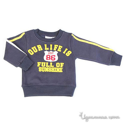 Толстовка Fun time, цвет цвет синий