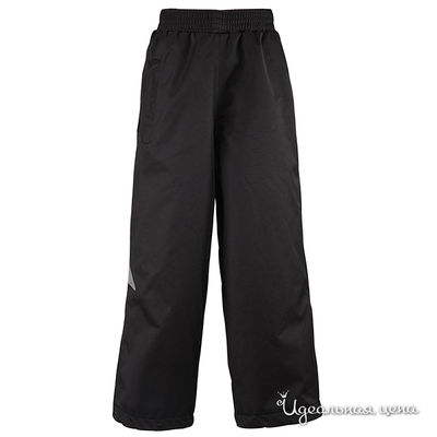 Брюки Reima, цвет цвет черный