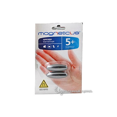 Цикада Magnetic