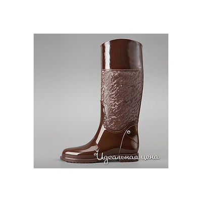 Сапоги Lady Lita, цвет цвет коричневый