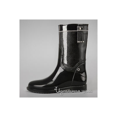 Сапоги Lady Lita, цвет цвет черный