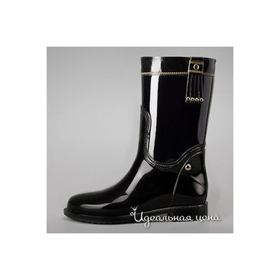 Сапоги Lady Lita, цвет цвет черный