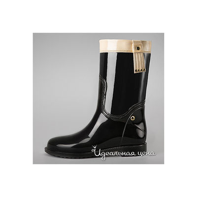 Сапоги Lady Lita, цвет цвет черный