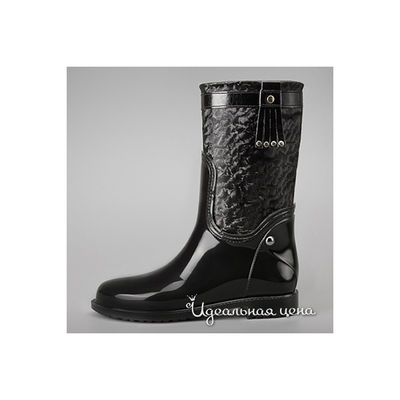 Сапоги Lady Lita, цвет цвет черный