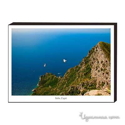 Панно Top posters