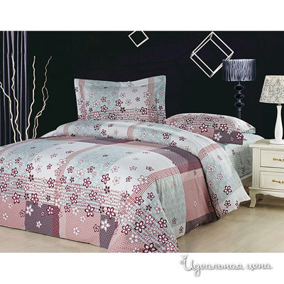 Комплект Softline