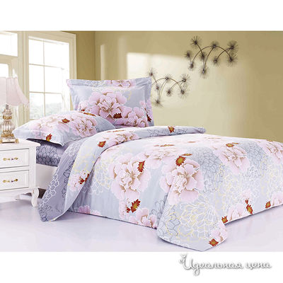 Комплект Softline