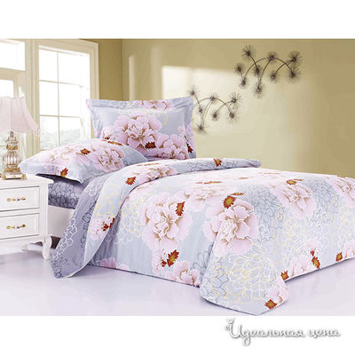 Комплект Softline