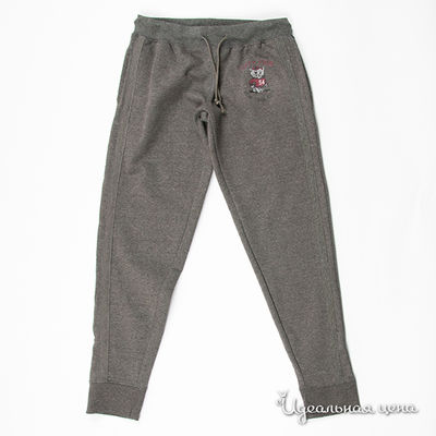 Брюки WPM, цвет цвет серый