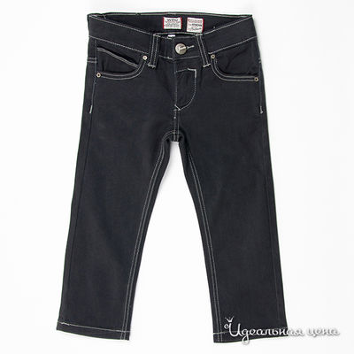 Брюки WPM, цвет цвет темно-синий