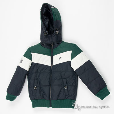 Куртка WPM, цвет цвет синий