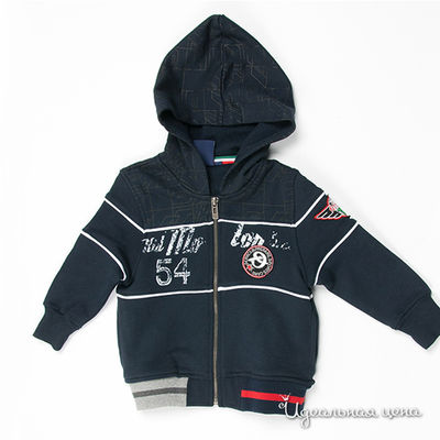 Толстовка WPM, цвет цвет темно-синий