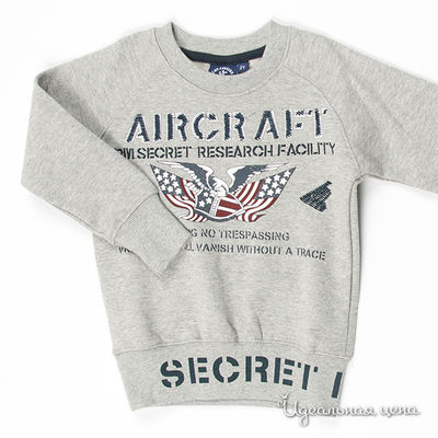 Толстовка WPM, цвет цвет светло-серый