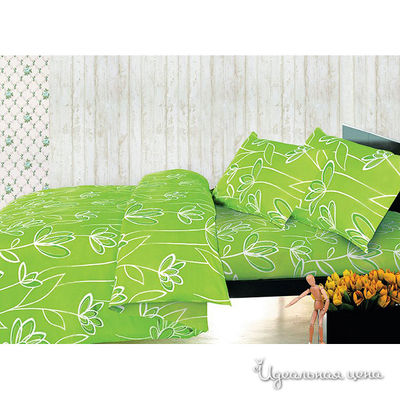 Комплект Seta