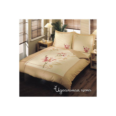 Комплект TAC