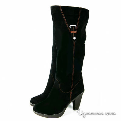 Сапоги Cardinali, цвет цвет черный