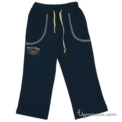 Брюки Апрель, цвет цвет синий