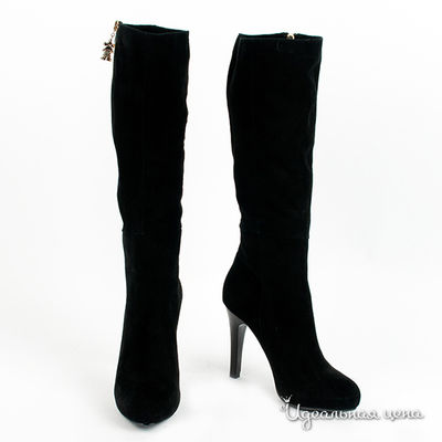 Сапоги Anre Tani, цвет цвет черный