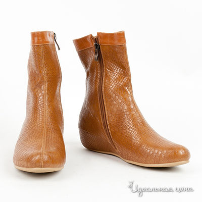 Полусапоги Anre Tani, цвет цвет коричневый