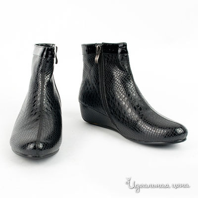 Полусапоги Anre Tani, цвет цвет черный